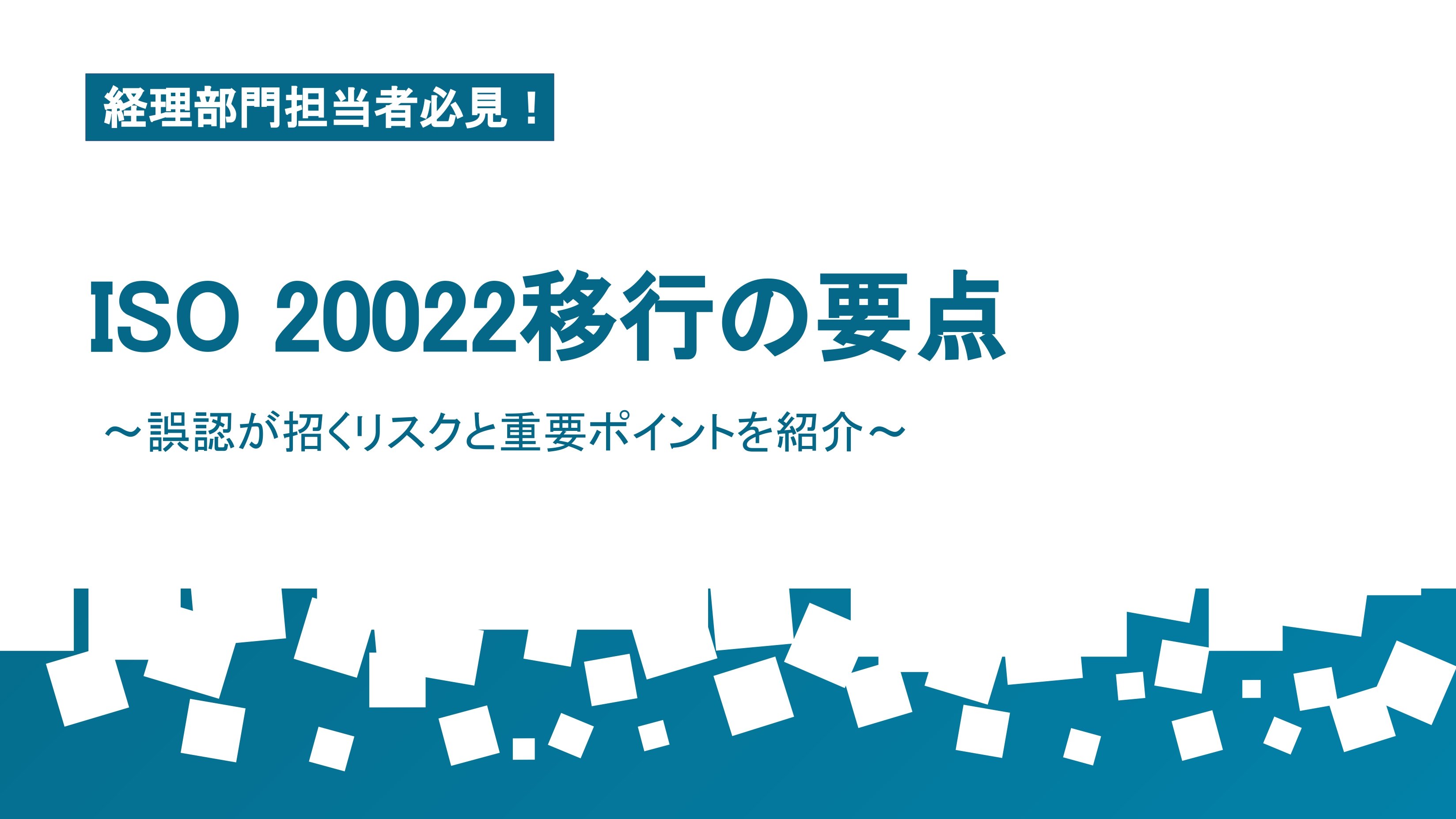 Riisa 6月発送になります ISO 20022移行の要点 ｜資料ダウンロード｜製品紹介・導入事例