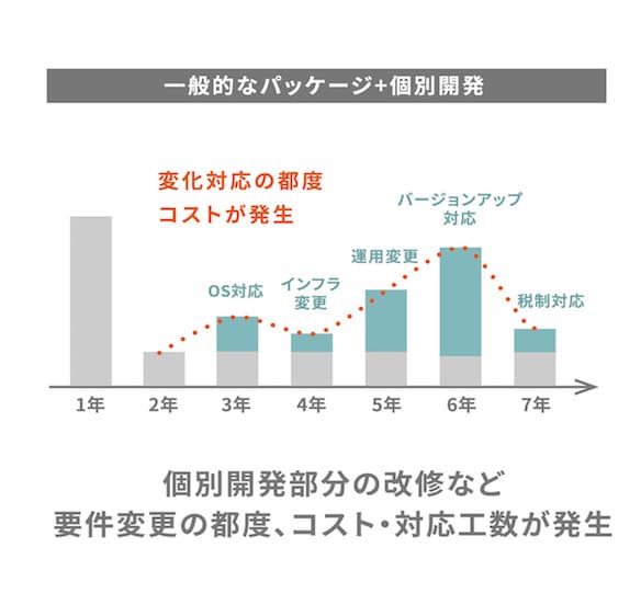 一般的なパッケージ+個別開発
